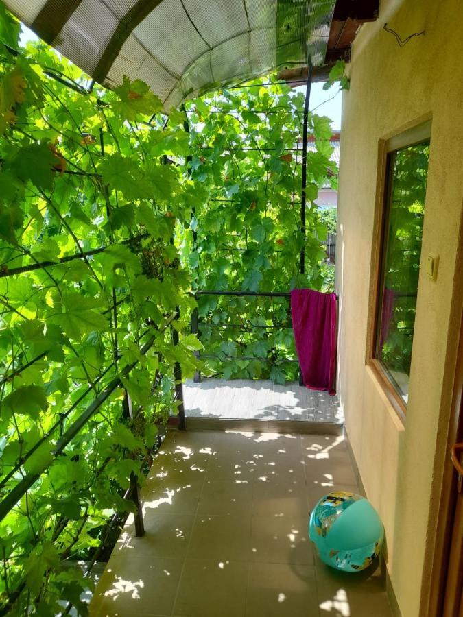 Pensiunea Lyo Două Mai Dış mekan fotoğraf