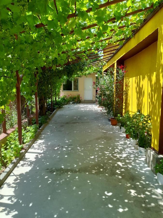 Pensiunea Lyo Două Mai Dış mekan fotoğraf