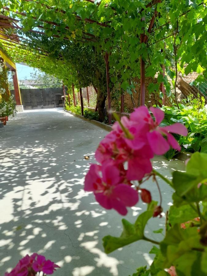 Pensiunea Lyo Două Mai Dış mekan fotoğraf